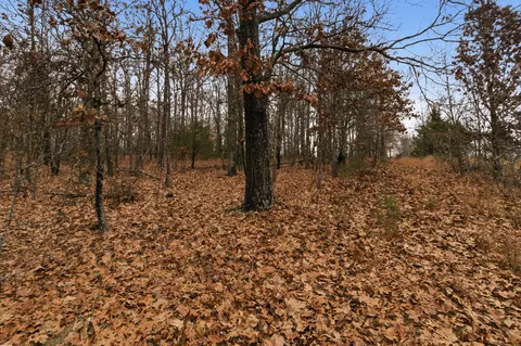 tbd Old Highway 60, Mountain View, MO 65548