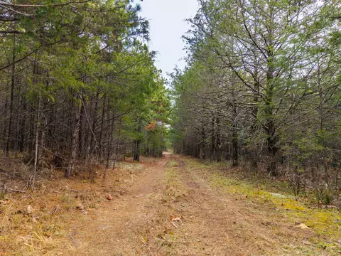 002 State Hwy Ac, Drury, MO 65638 photo 4