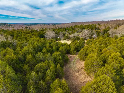 002 State Hwy Ac, Drury, MO 65638 photo 8