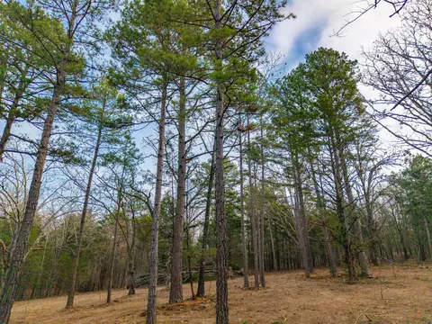 003 State Hwy Ac, Drury, MO 65638 photo 5