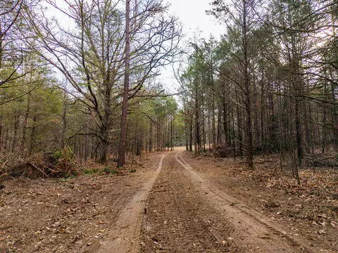 003 State Hwy Ac, Drury, MO 65638 photo 9