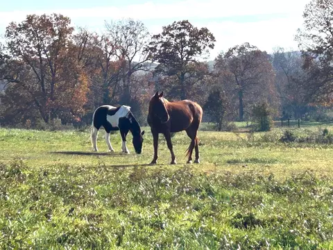 Other - 710 County Road 328, Thayer, MO 65791 photo 7 of 19