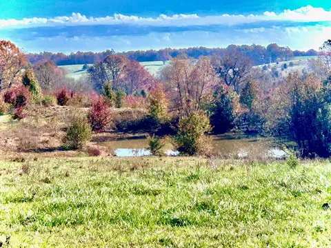 View/Area - 710 County Road 328, Thayer, MO 65791 photo 1 of 5