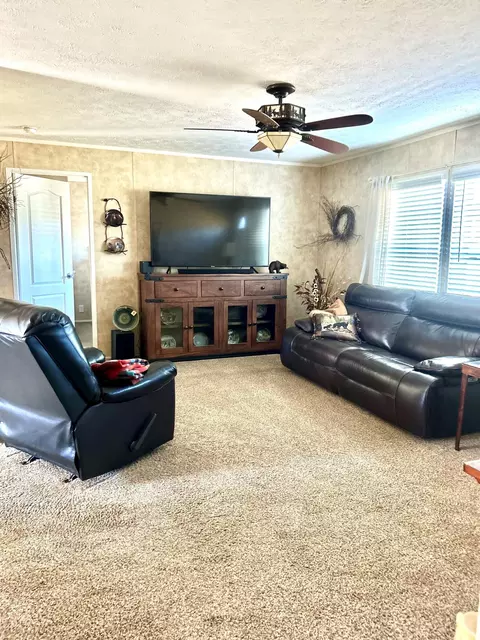 Living - 710 County Road 328, Thayer, MO 65791 photo 2 of 3