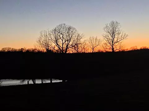 View/Area - 710 County Road 328, Thayer, MO 65791 photo 5 of 5
