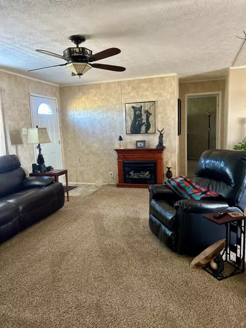 Living - 710 County Road 328, Thayer, MO 65791 photo 3 of 3
