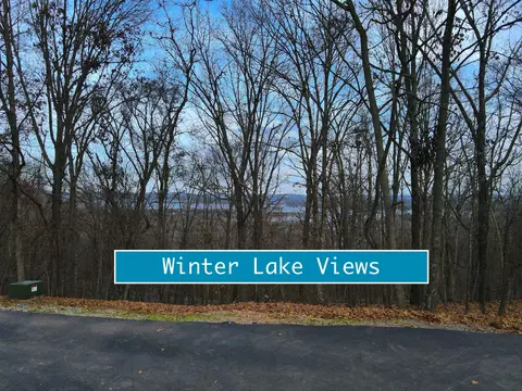 tbd Lovers Ln, Branson West, MO 65737