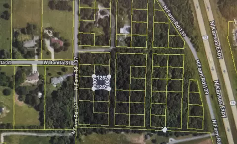 lot11 N Ethyl Ave, Springfield, MO 65803 photo 2