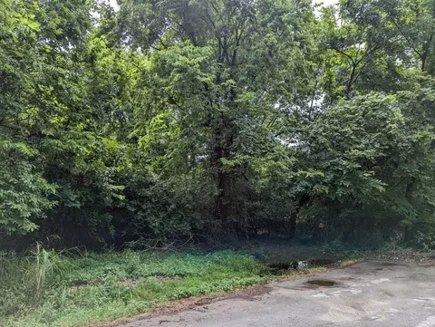 lot9 N Ethyl Ave, Springfield, MO 65803 photo 2