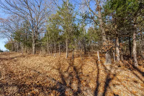 Other - 1511 State Highway U, Protem, MO 65733 photo 11 of 13
