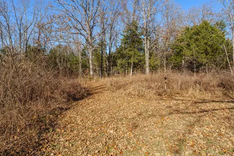 Exterior - 1511 State Highway U, Protem, MO 65733 photo 15 of 21