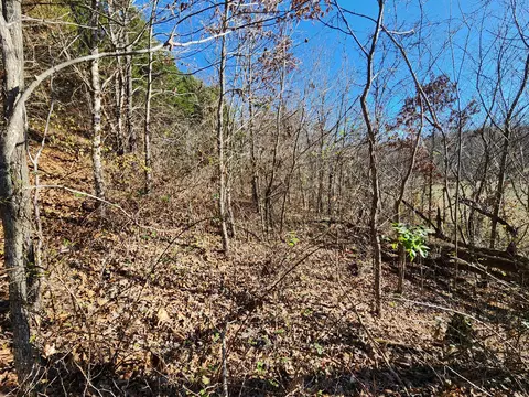 000 Mclean Rd, Ozark, MO 65721