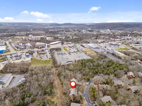 View/Area - 271 Oakridge Rd #1, Branson, MO 65616 photo 2 of 3