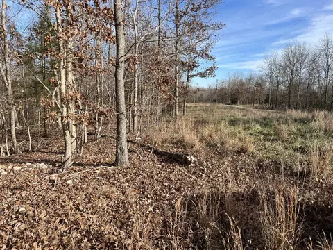 2369 County Road 359, Thayer, MO 65791 photo 6