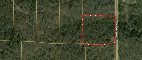 2369 County Road 359, Thayer, MO 65791 photo 2