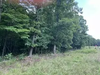 2371 County Road 359, Thayer, MO 65791 photo 4