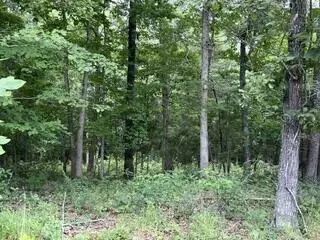 2371 County Road 359, Thayer, MO 65791 photo 6