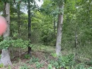 2371 County Road 359, Thayer, MO 65791 photo 7
