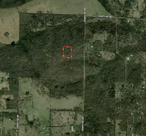 2371 County Road 359, Thayer, MO 65791 photo 2