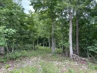 2371 County Road 359, Thayer, MO 65791 photo 3