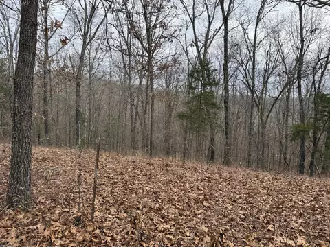 13347 County Road E 76-126, Ava, MO 65608 photo 6