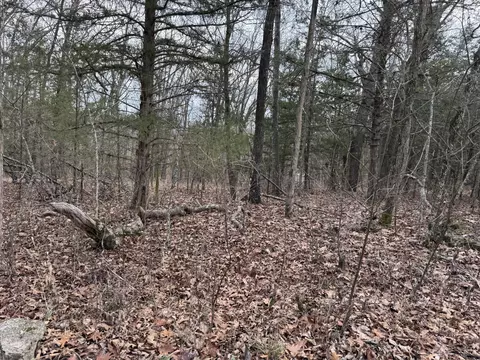 13347 County Road E 76-126, Ava, MO 65608 photo 5