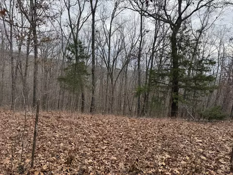 13347 County Road E 76-126, Ava, MO 65608 photo 7