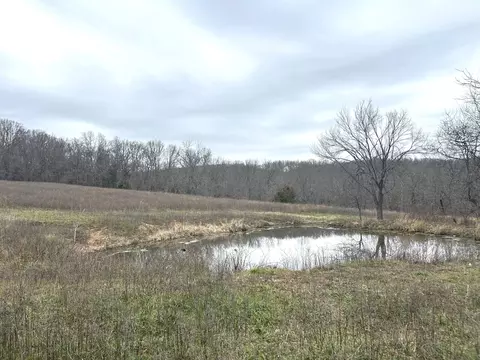 0 E Highway 14 Private Dr # -0, Ava, MO 65608 photo 5