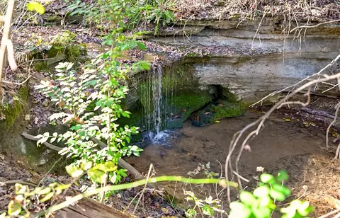 Other - 3378 Warner Rd, Crane, MO 65633 photo 1 of 20