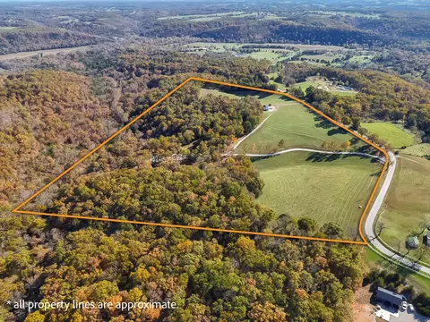 View/Area - 3378 Warner Rd, Crane, MO 65633 photo 4 of 6