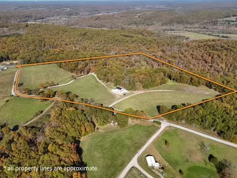 View/Area - 3378 Warner Rd, Crane, MO 65633 photo 6 of 6