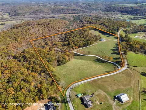 View/Area - 3378 Warner Rd, Crane, MO 65633 photo 3 of 6