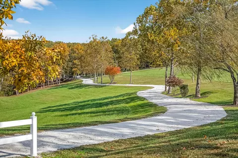 Other - 3378 Warner Rd, Crane, MO 65633 photo 19 of 20
