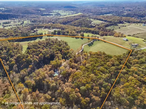 View/Area - 3378 Warner Rd, Crane, MO 65633 photo 2 of 6