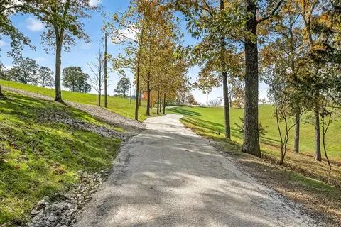 Other - 3378 Warner Rd, Crane, MO 65633 photo 6 of 20