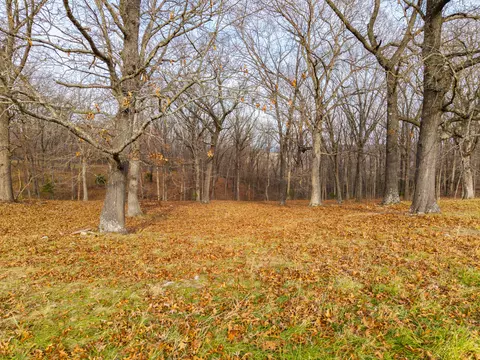 56 Hc 69, Oldfield, MO 65720 photo 51