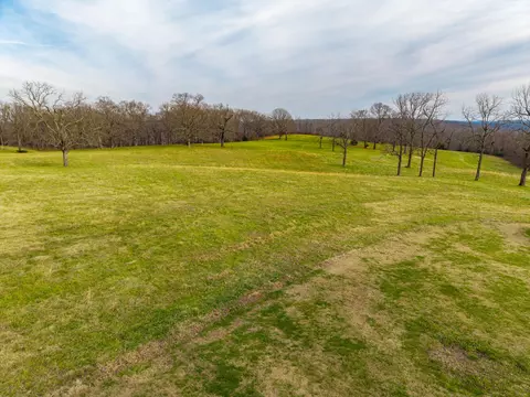 56 Hc 69, Oldfield, MO 65720 photo 60