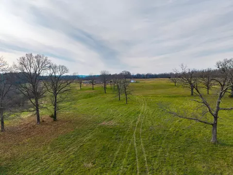 56 Hc 69, Oldfield, MO 65720 photo 12