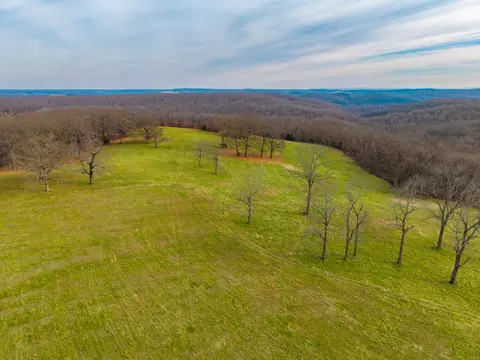 56 Hc 69, Oldfield, MO 65720 photo 11