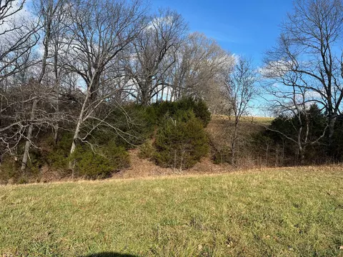 615 Thomas Hollow Rd, Rocky Comfort, MO 64861 photo 58