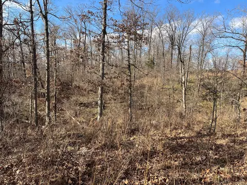 615 Thomas Hollow Rd, Rocky Comfort, MO 64861 photo 24
