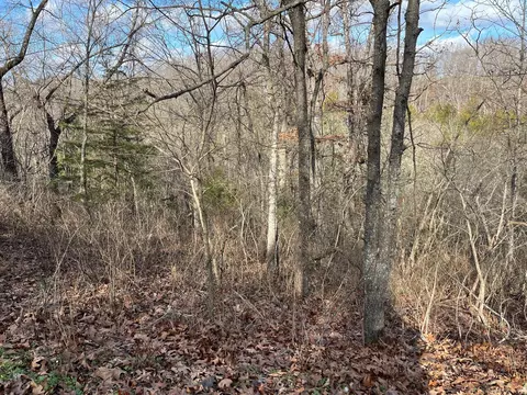615 Thomas Hollow Rd, Rocky Comfort, MO 64861 photo 20