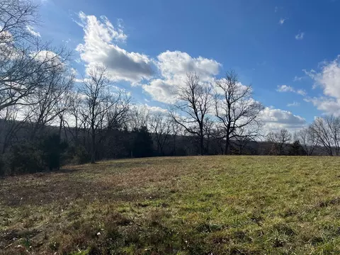 615 Thomas Hollow Rd, Rocky Comfort, MO 64861 photo 53