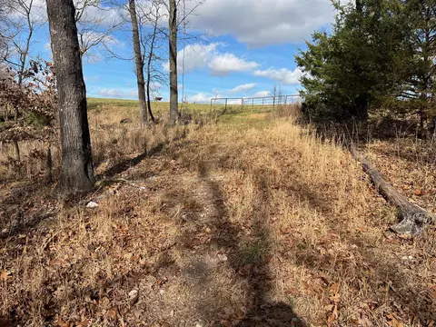 615 Thomas Hollow Rd, Rocky Comfort, MO 64861 photo 37