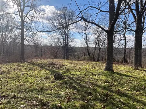 615 Thomas Hollow Rd, Rocky Comfort, MO 64861 photo 17