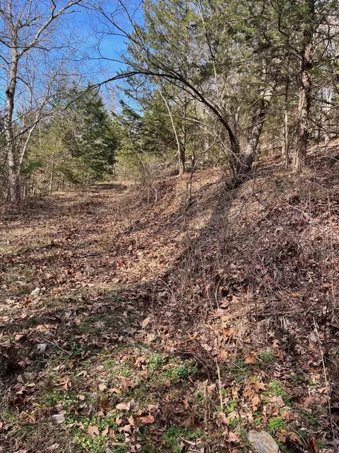 615 Thomas Hollow Rd, Rocky Comfort, MO 64861 photo 39