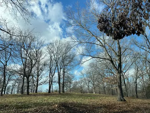 615 Thomas Hollow Rd, Rocky Comfort, MO 64861 photo 74
