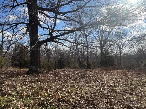 615 Thomas Hollow Rd, Rocky Comfort, MO 64861 photo 18