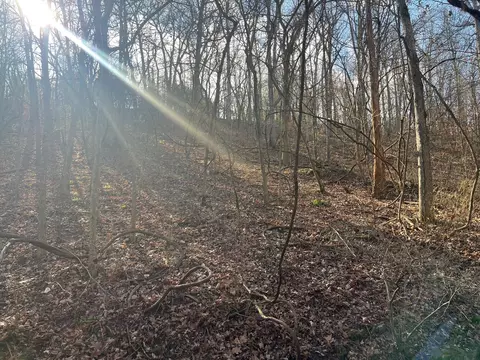 615 Thomas Hollow Rd, Rocky Comfort, MO 64861 photo 14