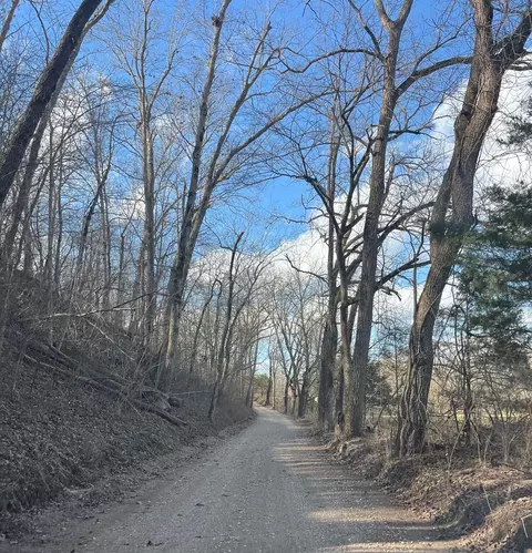 615 Thomas Hollow Rd, Rocky Comfort, MO 64861 photo 79